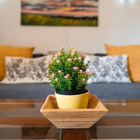 Apartament Vilos Las Canteras *